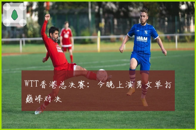 WTT香港总决赛：今晚上演男女单打巅峰对决